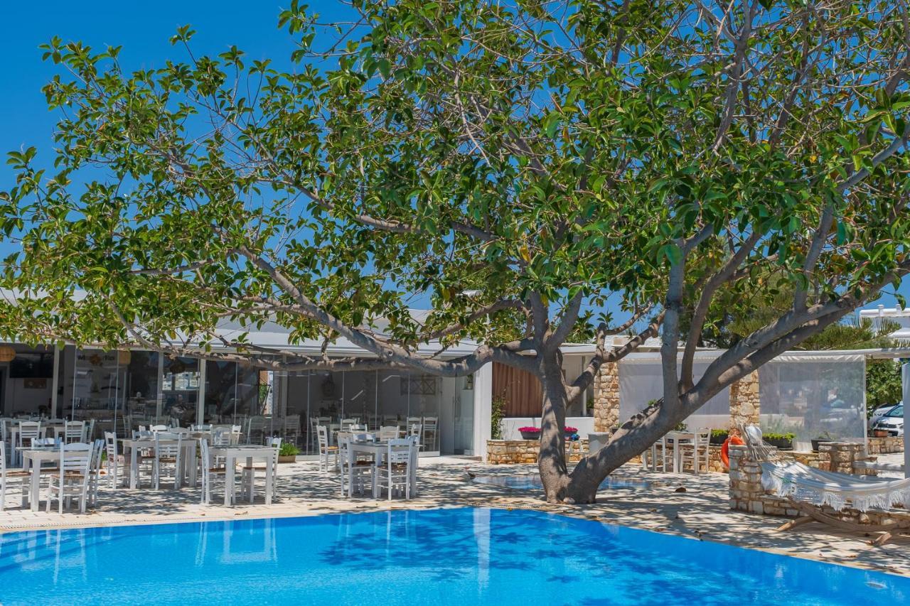Margarita Studios Ambelas Dış mekan fotoğraf